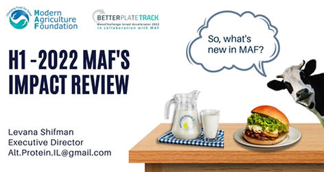 MAF's Mid-Year Impact review